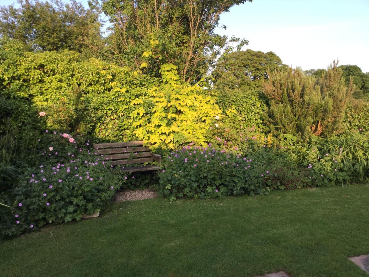 Bed & Breakfast Steps Minehead