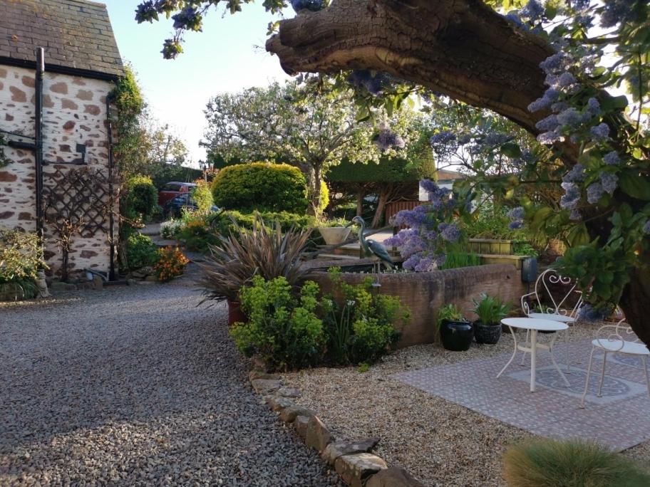 Steps 4* Minehead