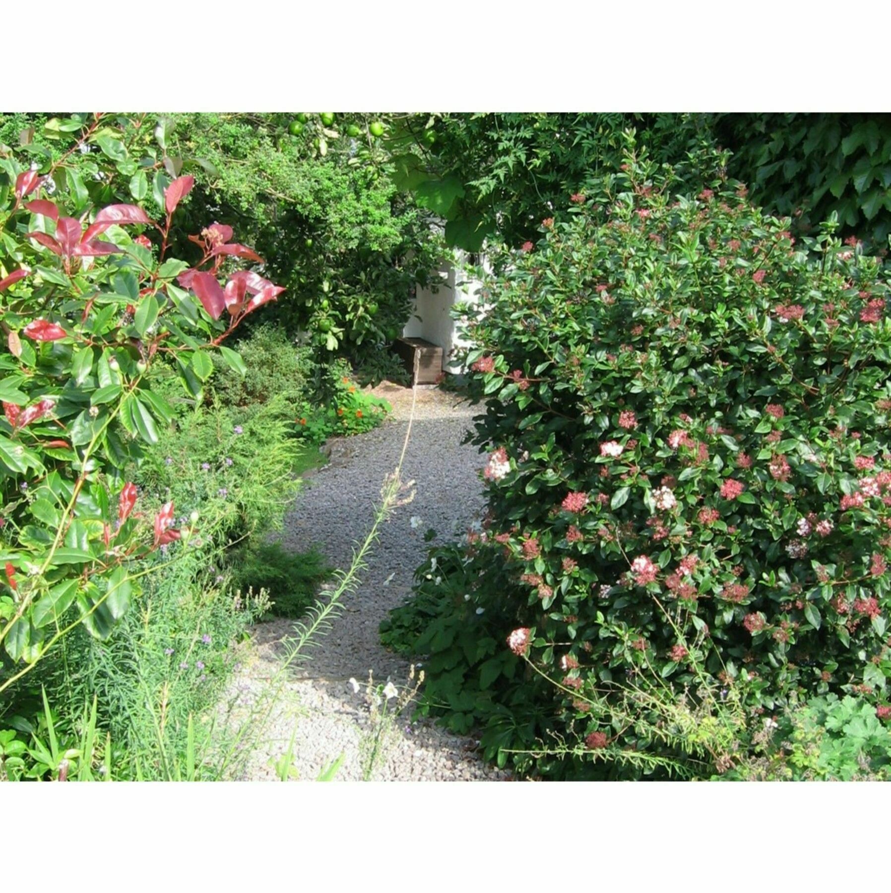 Bed & Breakfast Steps